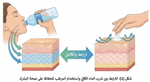 صورة توضيحية تظهر أهمية الترطيب الداخلي والخارجي للبشرة