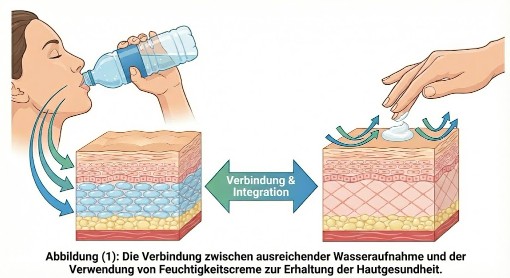 Eine illustrative Abbildung, die die Bedeutung der internen und externen Hydratation für die Haut zeigt