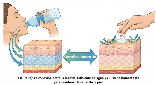 Una imagen ilustrativa que muestra la importancia de la hidratación interna y externa para la piel