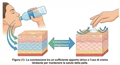 Una immagine illustrativa che mostra l'importanza dell'idratazione interna ed esterna per la pelle